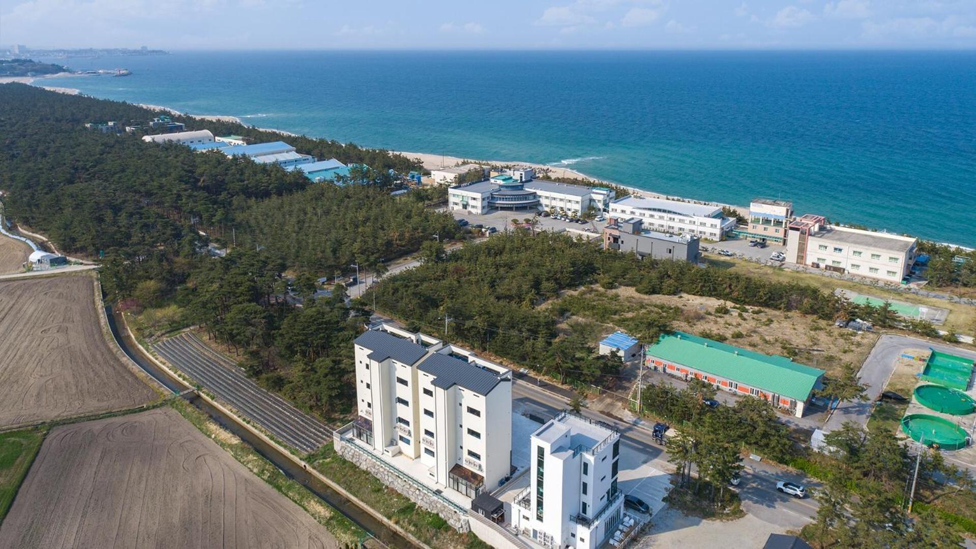 Gangneung Joeungot Poolvilla Экстерьер фото