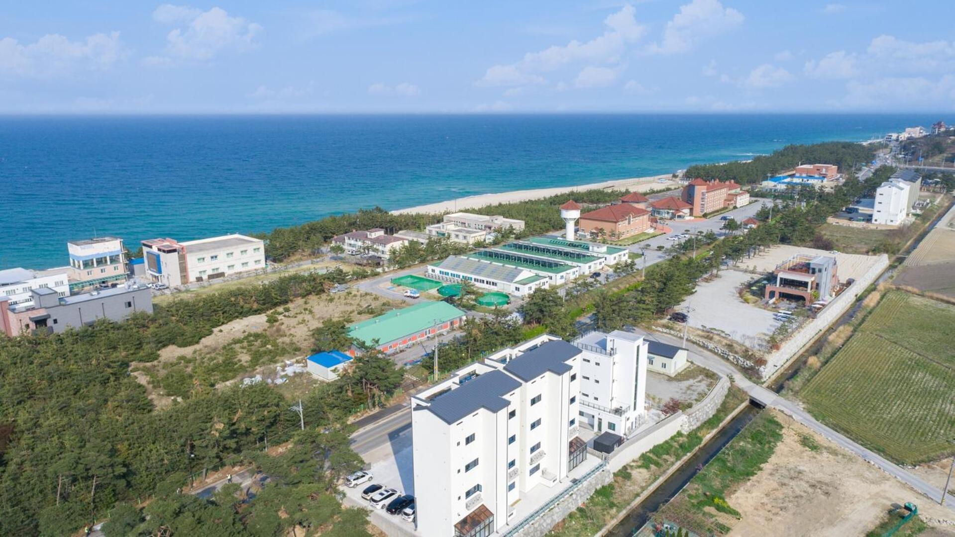 Gangneung Joeungot Poolvilla Экстерьер фото