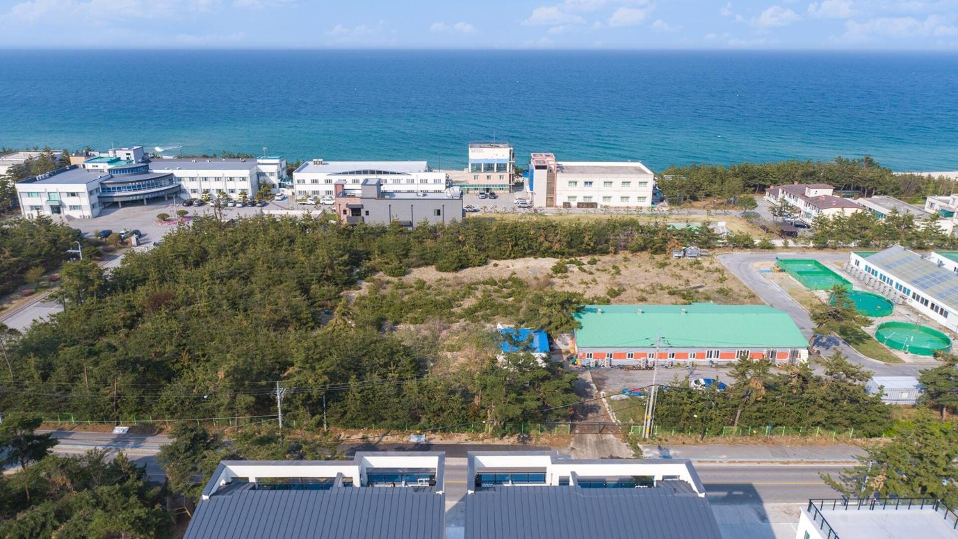 Gangneung Joeungot Poolvilla Экстерьер фото