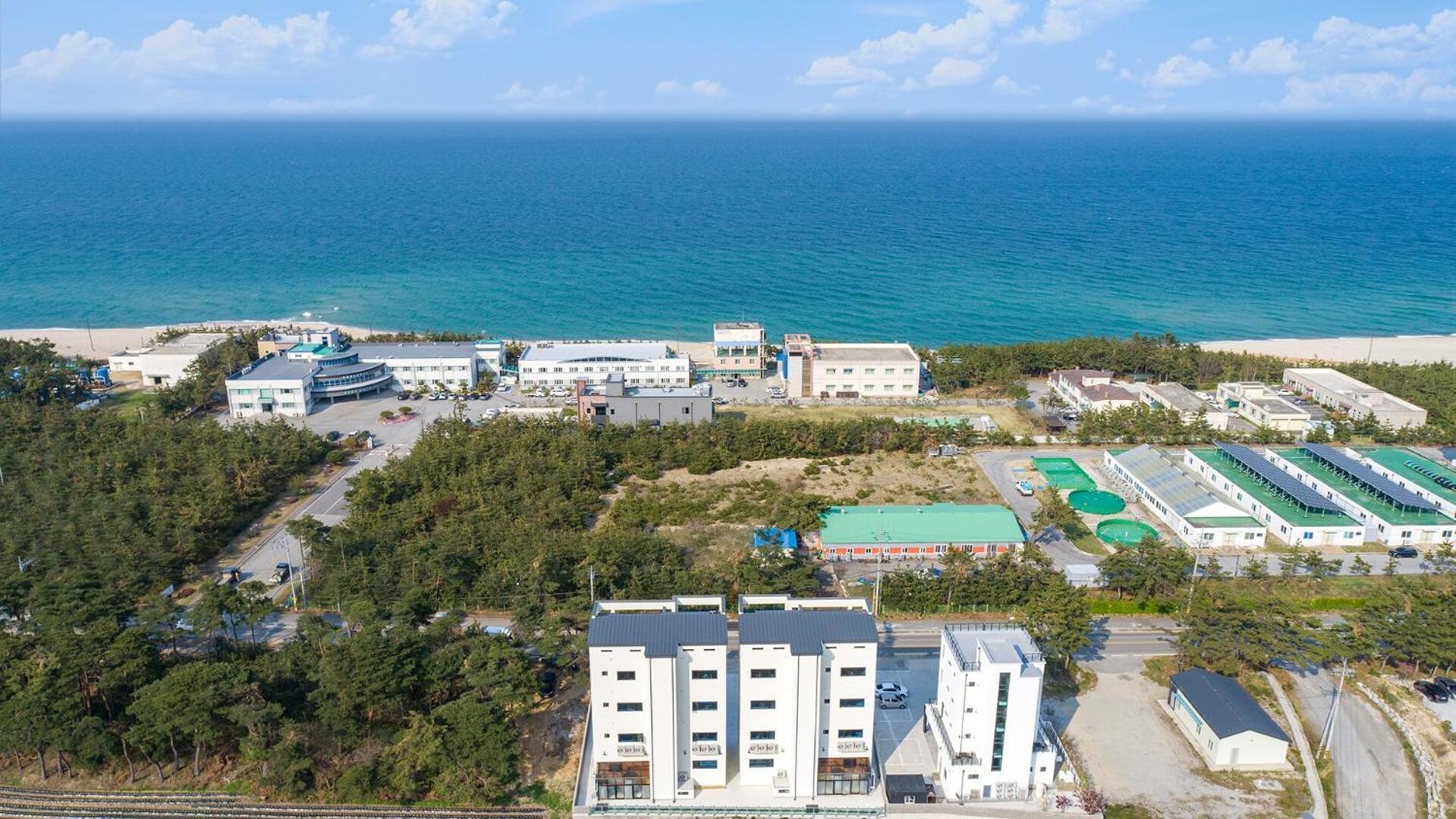 Gangneung Joeungot Poolvilla Экстерьер фото